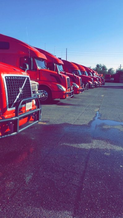 A row of red trucks parked in a parking lot.