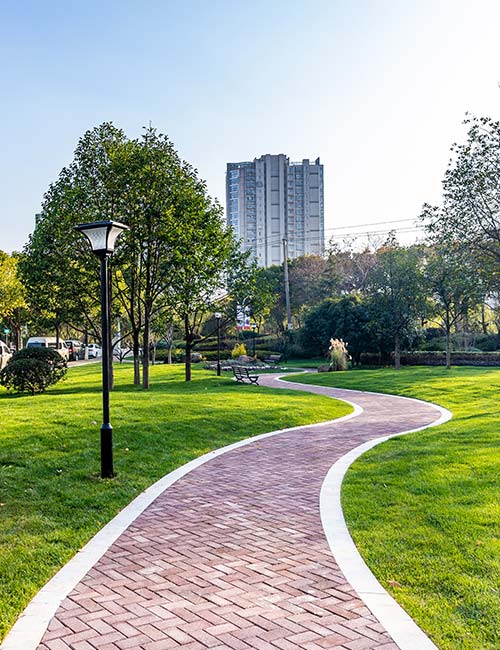 A park with trees and benches in the background.