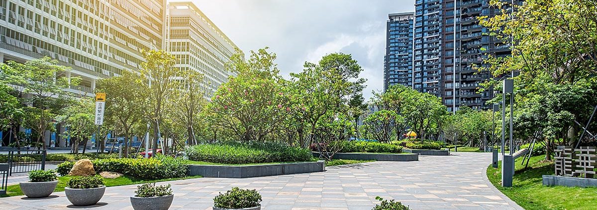 A park with trees and bushes in the middle of it